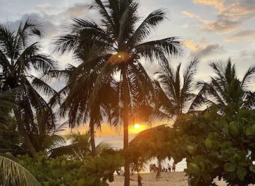puerto-rico/isabela/landmark/tabla-sala-rest-mojitos-bar