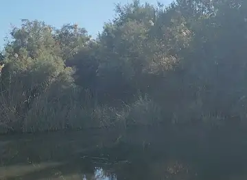 La réserve de Shaumari