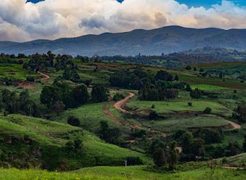 tanzania/southern-zone/landmark/kitulo-national-park