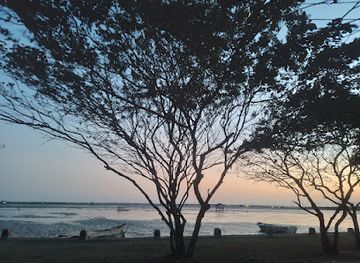 sri-lanka/jaffna/landmark/pannai-lovers-view