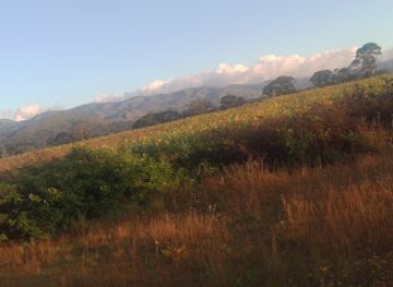 tanzania/mbeya/uyole/landmark/nane-nane