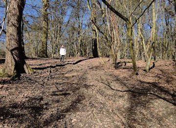 united-kingdom/middlesex/attraction/scratchwood-2