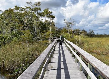 florida/everglades-national-park/landmark/pa-hay-okee-lookout-tower