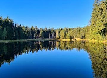 germany/fichtel-mountains/landmark/naturwaldreservat-fichtelseemoor