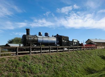 sweden/vasternorrland/landmark/the-association-galtstrom-trains