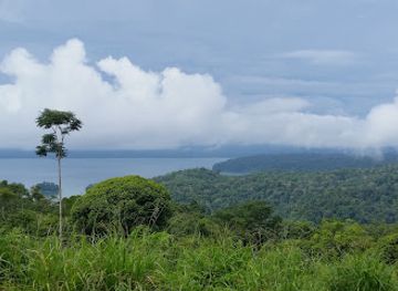 costa-rica/corcovado-national-park/landmark/corcovado-estacion-sirena-national-park