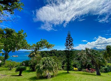 dominica/saint-andrew/landmark/sea-cliff-eco-cottages-gin-distillery