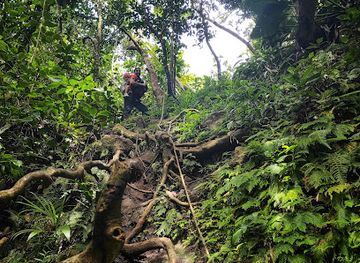 saint-kitts-and-nevis/gingerland/landmark/nevis-peak