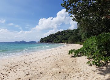 seychelles/ile-moyenne/landmark/anse-louis