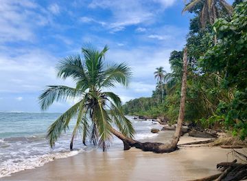 costa-rica/cahuita-national-park/landmark/parque-nacional-cahuita