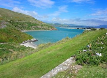 new-zealand/otago/landmark/royal-albatross-centre