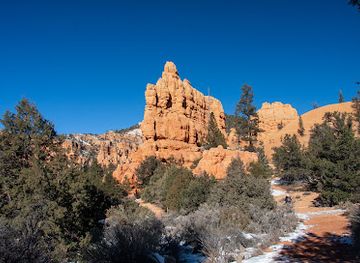 utah/cedar-breaks-national-monument/landmark/dixie-national-forest