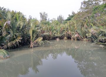 india/sundarbans/landmark/mangrove-interpretation-centre