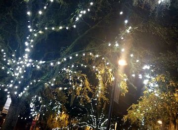 florida/tallahassee/landmark/park-avenue-historic-district