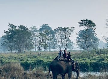 nepal/chitwan-national-park/landmark/tikauli-jungle