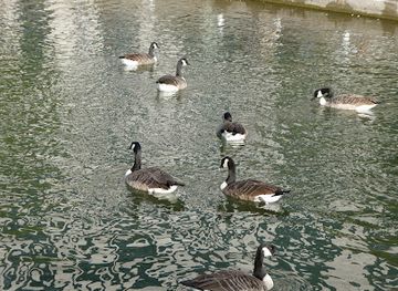 israel/judea/landmark/explore-israel-now