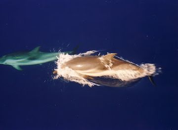 croatia/posavina/landmark/welcome-to-croatia