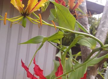 papua-new-guinea/chimbu-region/landmark/undiscovered-heritage-sites-in-simbu