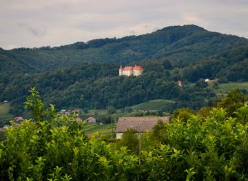 slovenia/southeast-slovenia/landmark/bizeljsko-castle