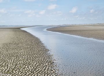 denmark/fano/landmark/rindby-beach