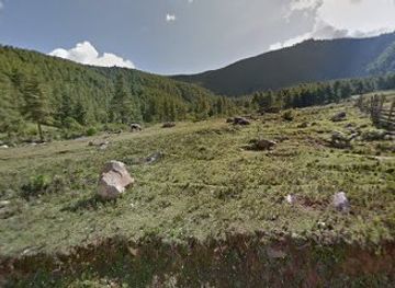 bhutan/phobjikha-valley/landmark/gangtey-phobjikha-eco-camp