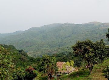 nigeria/gashaka-gumti-national-park/landmark/ngel-nyaki-forest-reserve