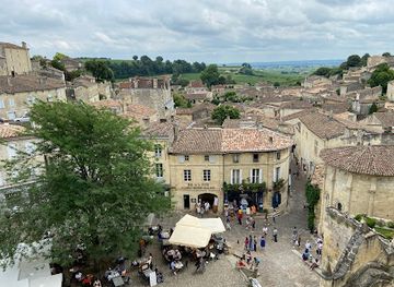 france/bordeaux-wine-region/landmark/rustic-vines-33000