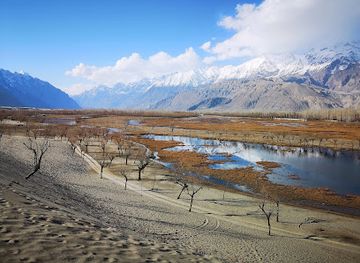 pakistan/deosai-national-park/landmark/katpana-desert