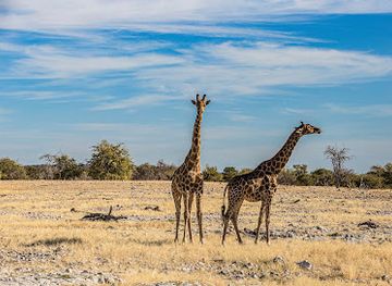 namibia/damaraland/landmark/etosha-national-park