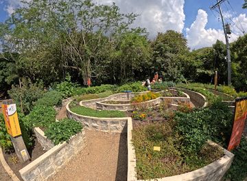 colombia/cali/ciudad-jardin/landmark/jardin-botanico-de-cali