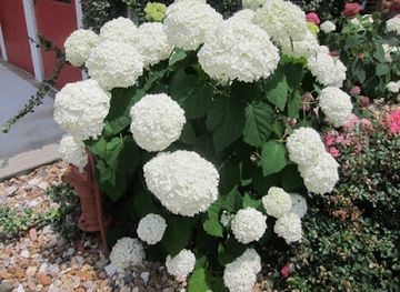 illinois/little-egypt/landmark/southernmost-illinois-tourism