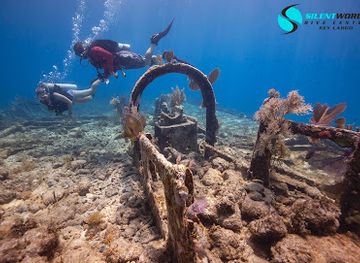 florida/key-largo/landmark/the-city-of-washington