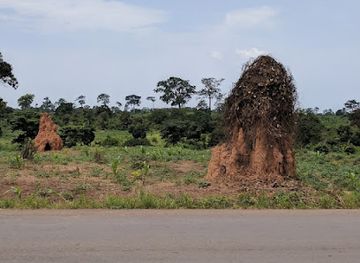 cote-d-ivoire/yamoussoukro-autonomous-district/landmark/marahoue-national-park