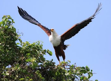 uganda/entebbe/landmark/shaka-tours-travel-uganda