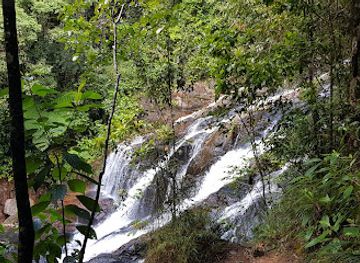 australia/atherton-tablelands/landmark/australian-platypus-park-tarzali-lakes