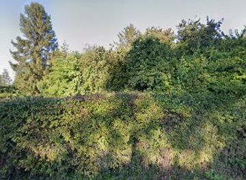 united-kingdom/cambridge/grantchester/attraction/grantchester-tours