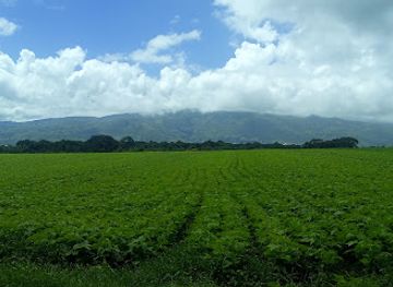 tanzania/mbeya/uyole/landmark/agricultural-research-institute-uyole