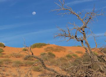 botswana/kalahari-desert/landmark/kgalagadi-transfrontier-park