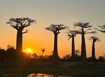 madagascar/analamanga/landmark/positive-madagascar