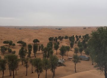 united-arab-emirates/dubai-desert-conservation-reserve/landmark/wasit-wetland-centre