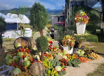 dominican-republic/constanza/landmark/festival-de-la-cosecha-constanza