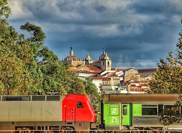 portugal/coimbra/landmark/choupal-national-forest