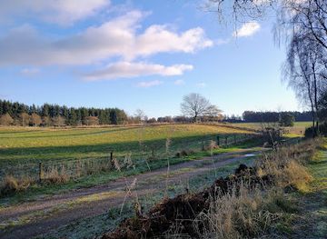 united-kingdom/perthshire/landmark/kinclaven-bluebell-woods