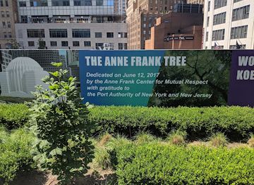 new-jersey/jersey-city/landmark/the-anne-frank-tree