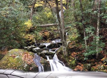 north-carolina/great-smoky-mountains/landmark/mannis-branch-falls