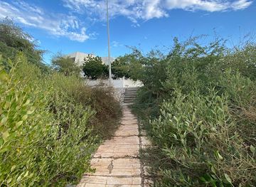 oman/muscat/qurum/landmark/shati-beach-secret-spot