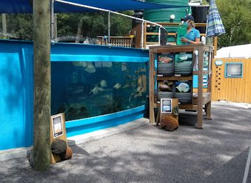 florida/st-augustine-beach/landmark/st-augustine-aquarium