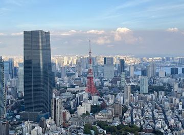 japan/tokyo/roppongi/landmark/roppongi-hills