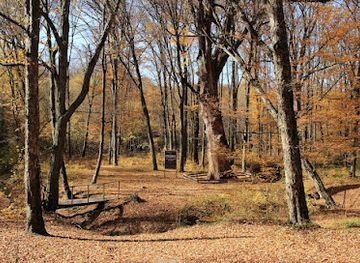 romania/moldova-area/landmark/oak-of-stephen-the-great-in-scoreni