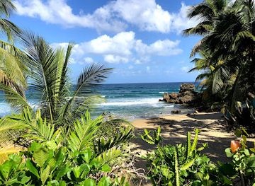puerto-rico/rincon/landmark/sandy-beach-east